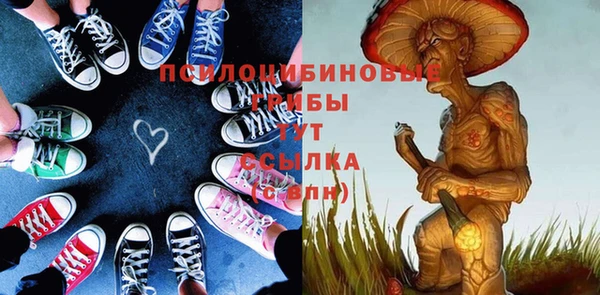 сатива Кодинск
