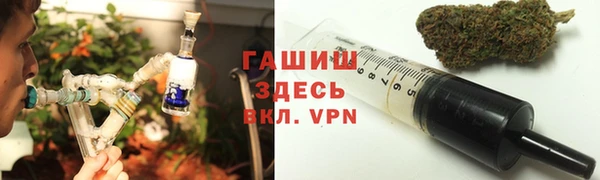 сатива Кодинск