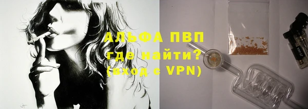 сатива Кодинск